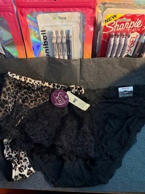 Lane Bryant cacique panties hipster & seriously sexy - w/tags